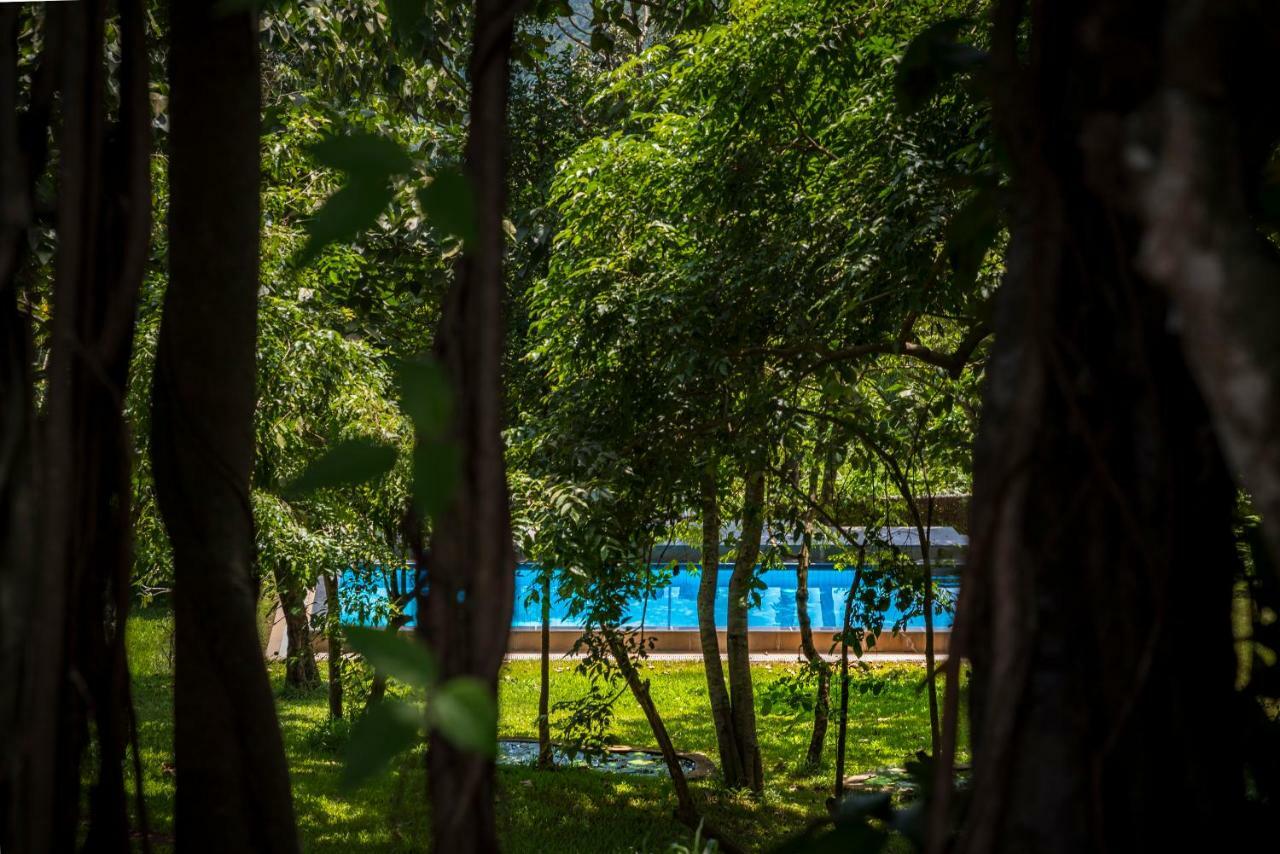 Hotel The Postcard Velha, Goa Goa Vieja Exterior foto